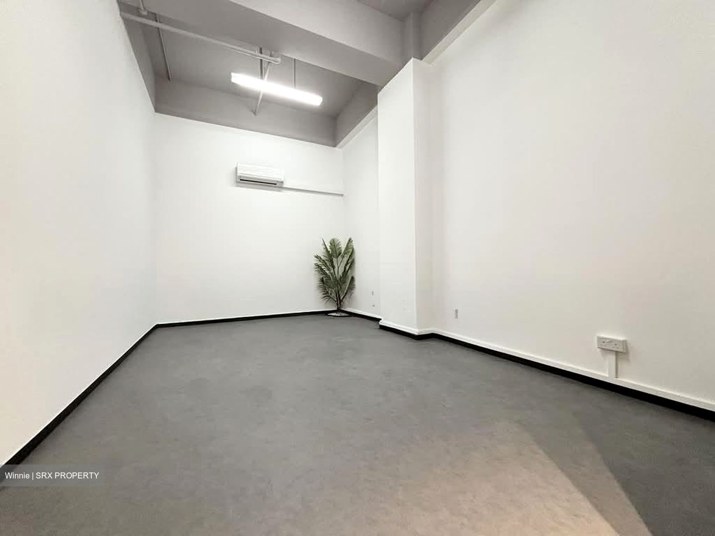 Primz Bizhub (D25), Factory #581729251